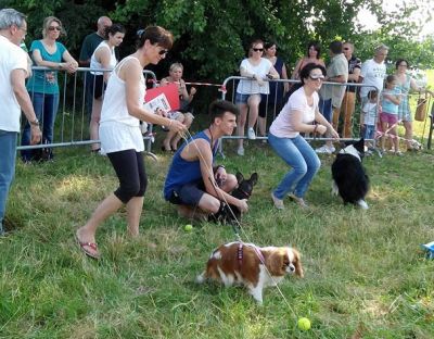 Peschiera Zampine amiche giugno 2015