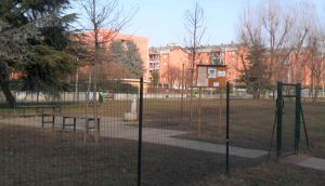 Peschiera area cani Zelo