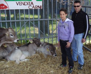 Melzo_Fiera_Palme_2011_4
