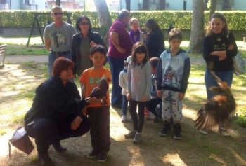 Melzo i gufi del borgo