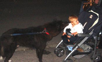 Rodano_cane_nero_con_bambina