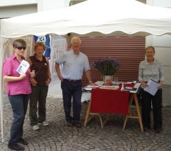 Rodano_referendum_2011_bassa