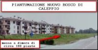 Settala_via_Gobetti_nuovo_bosco