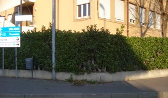 Vignate_recinzione_scuola_abbattuta